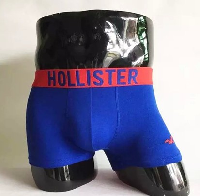 Hollister Men's Underwear 1